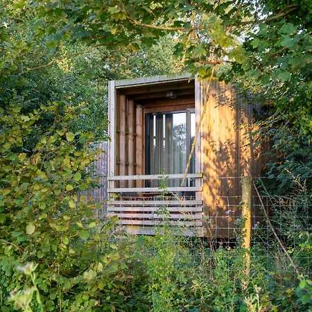 Forest Escape With Comfort Prázdninový dům *